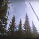 A fifth Vex cube appears in the EDZ woods.
